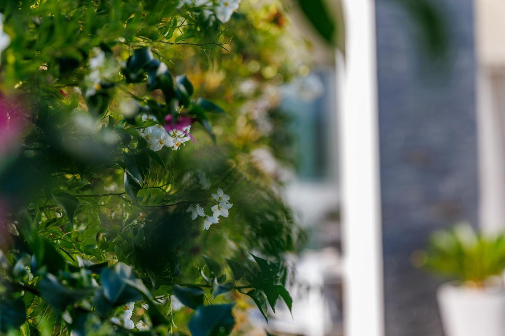 Holiday Home Ventum Σίμπενικ Εξωτερικό φωτογραφία